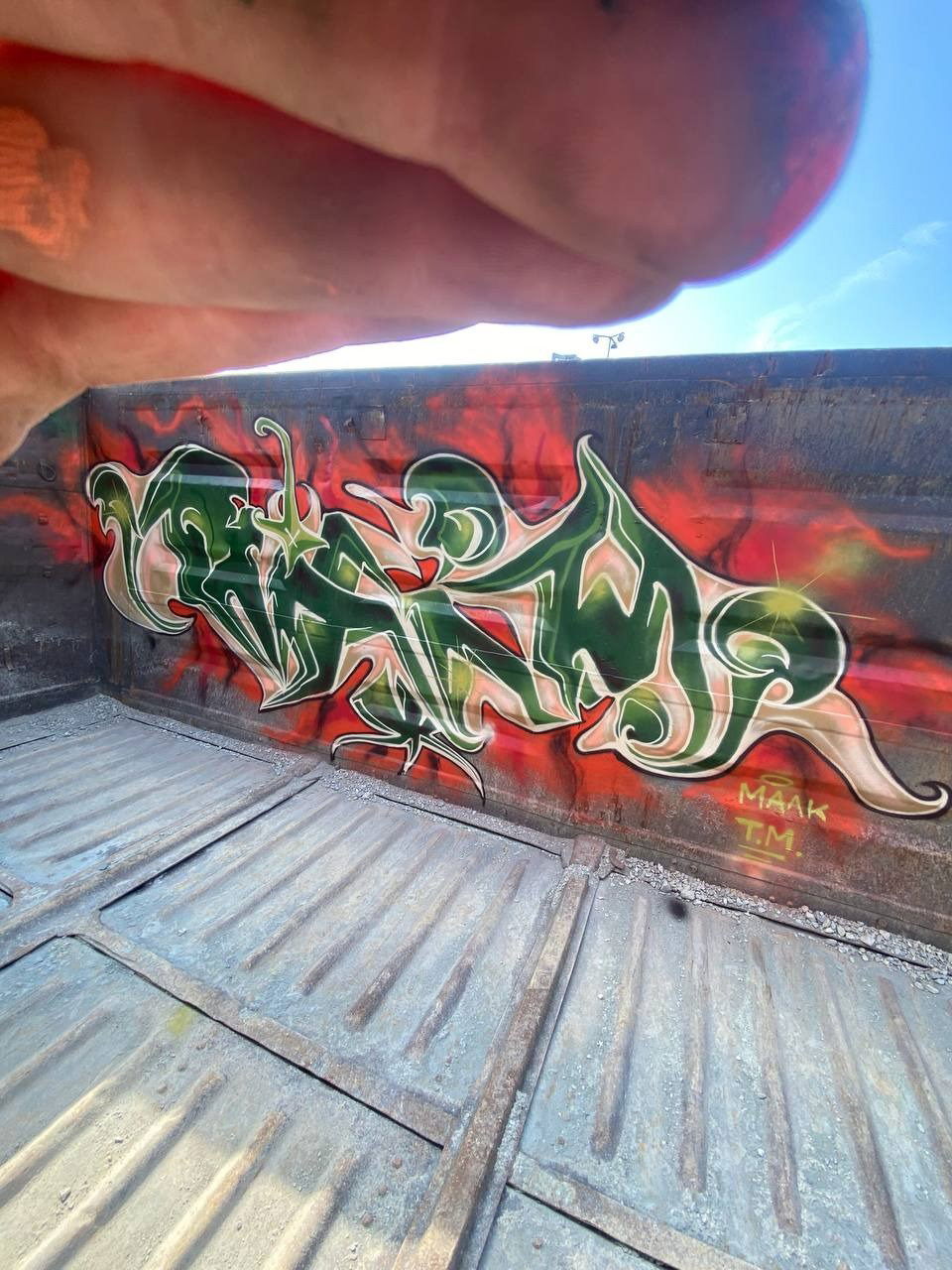 Graffiti Train in Указать Местоположение - Photo by deadkennedis