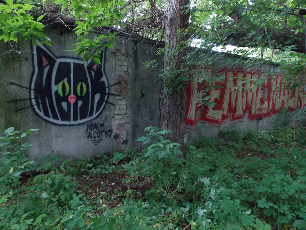 Graffiti Wall - Photo by deadkennedis