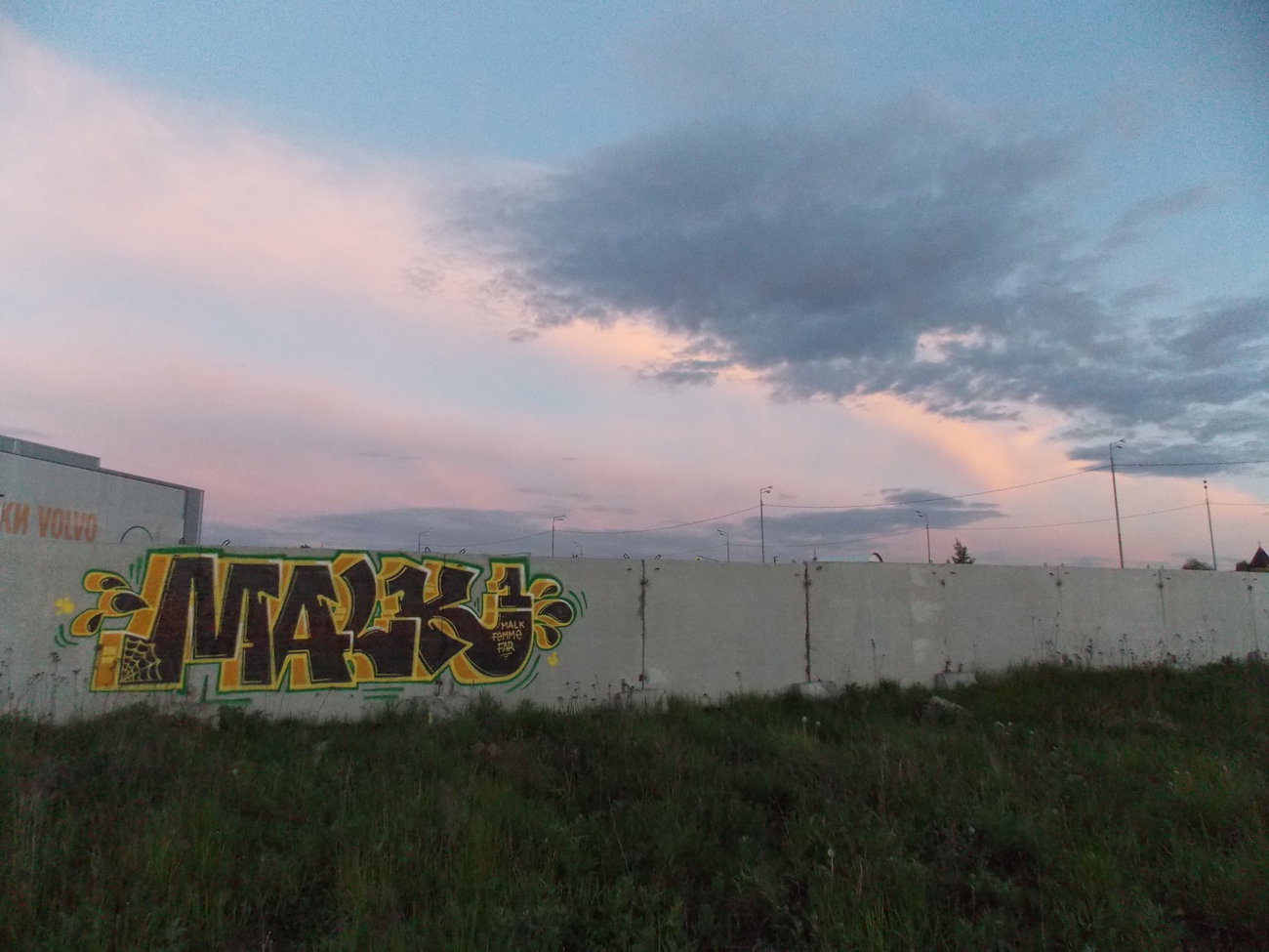 Graffiti in Красносельское сельское поселение - Photo by deadkennedis