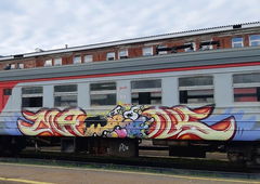 Graffiti Train - Photo by deadkennedis