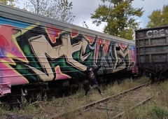 Graffiti Train - Photo by deadkennedis