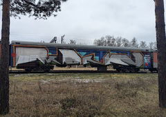 Graffiti Train - Photo by deadkennedis