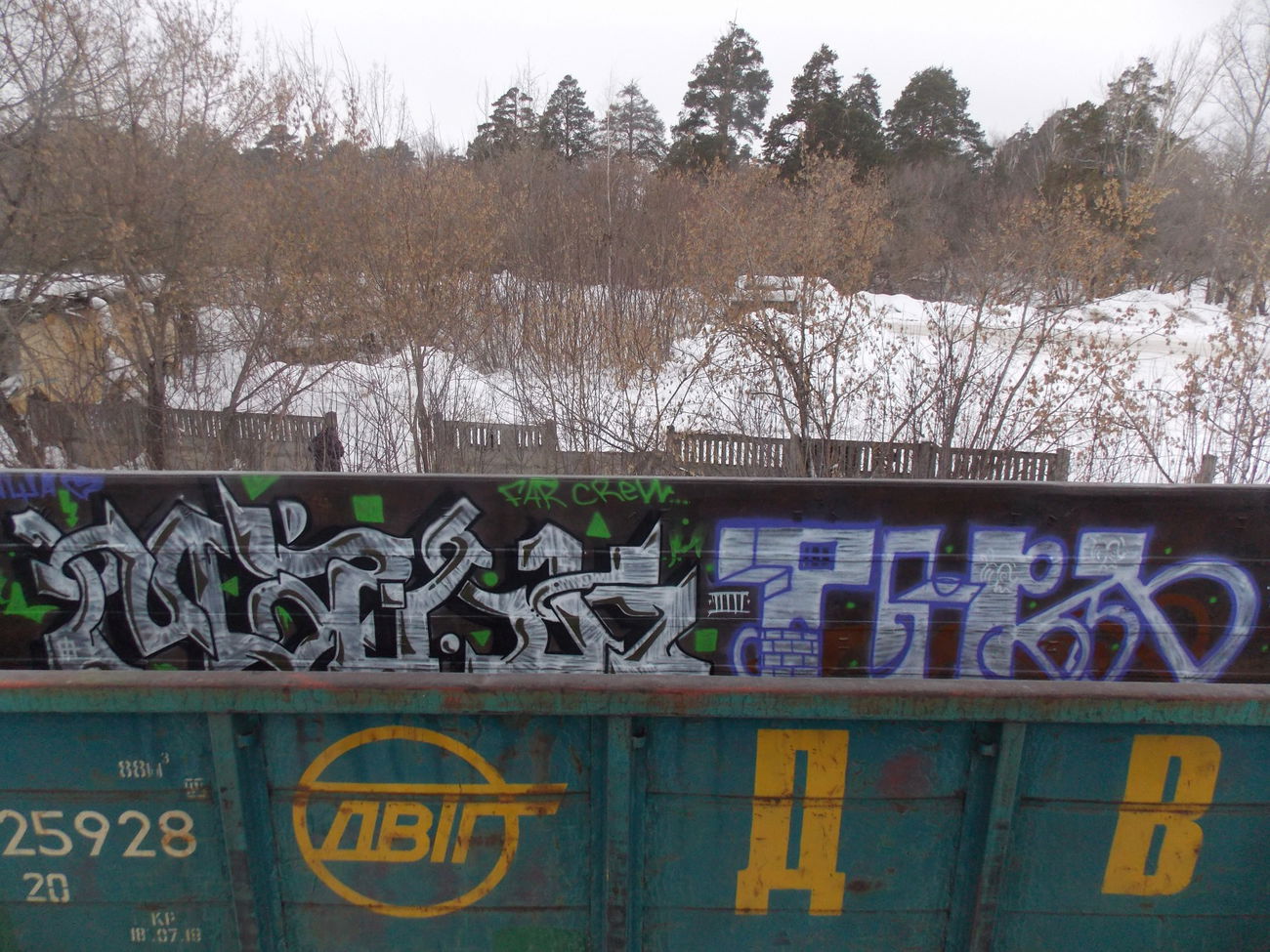 Graffiti Train - Photo by deadkennedis (2015)