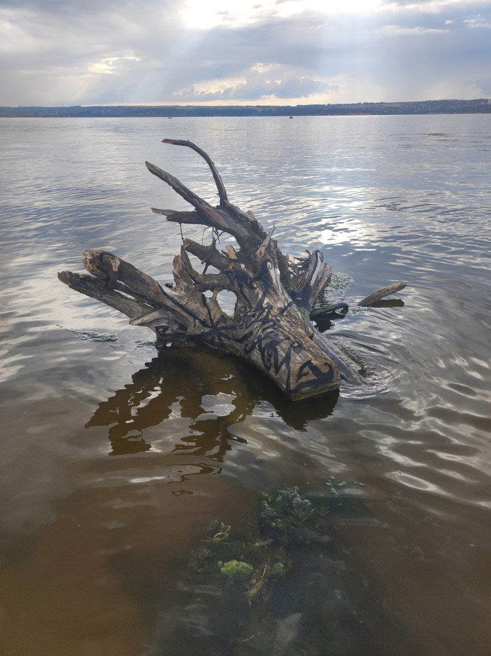 Graffiti Artwork - Photo by deadkennedis