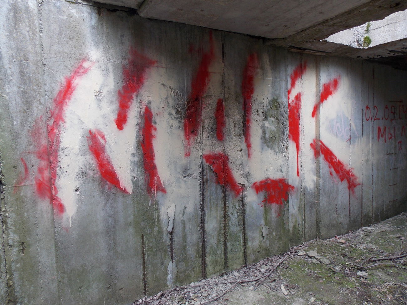 Graffiti Bombing - Photo by deadkennedis (2015)