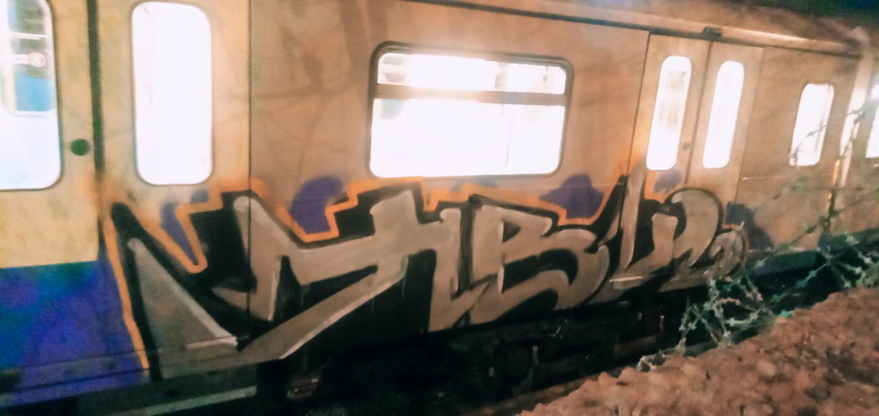Graffiti Train - Photo by deadkennedis