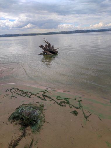 Graffiti Artwork - Photo by deadkennedis