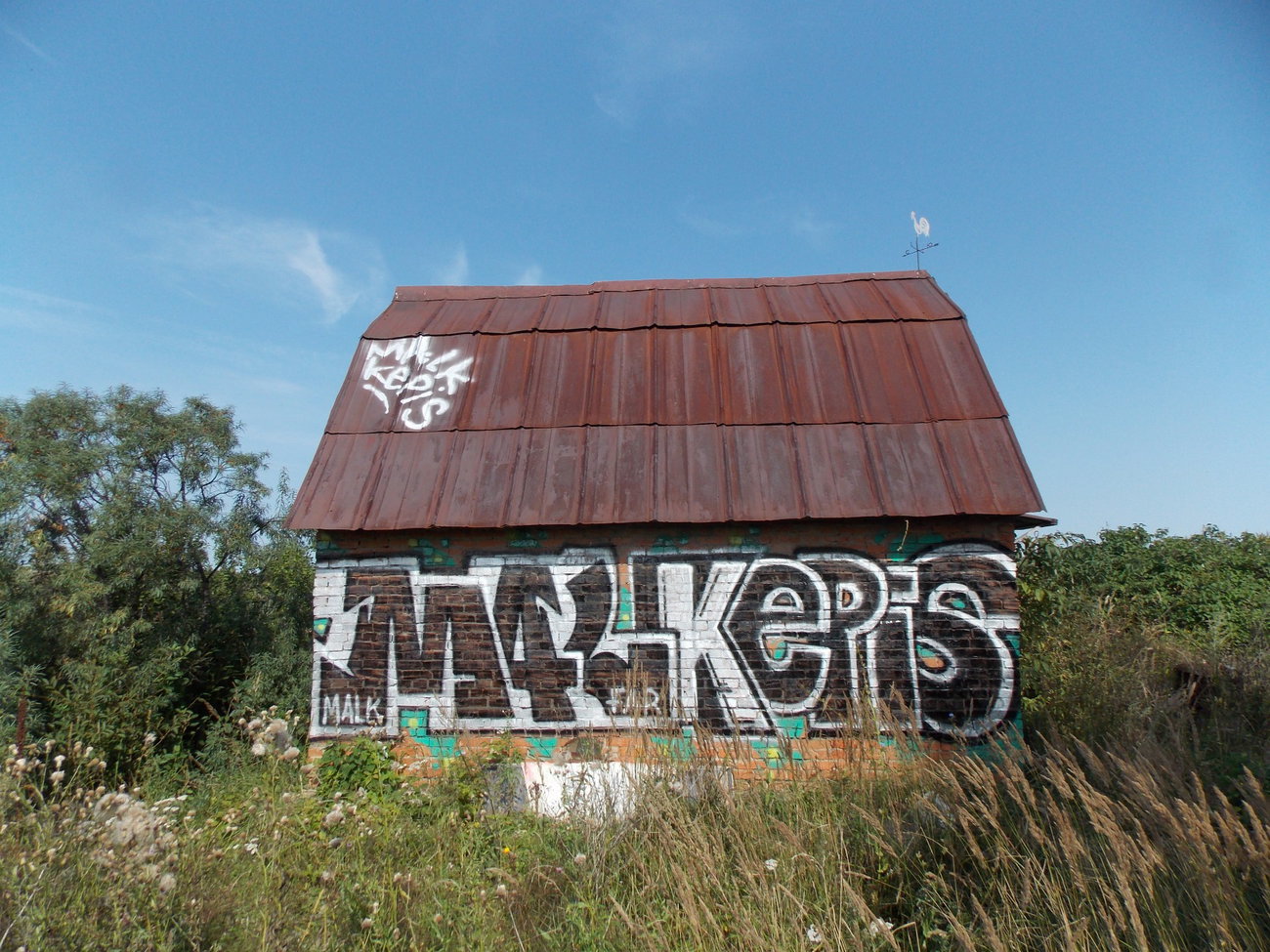 Graffiti Wall in Иске-Казанское Сельское Поселение - Photo by deadkennedis