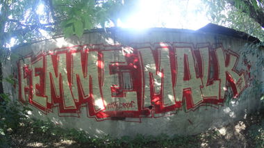 Graffiti Bombing - Photo by deadkennedis (2016)