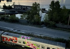 Graffiti Train - Photo by deadkennedis