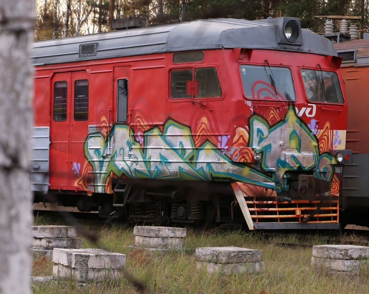 Graffiti Train in Указать Местоположение - Photo by deadkennedis