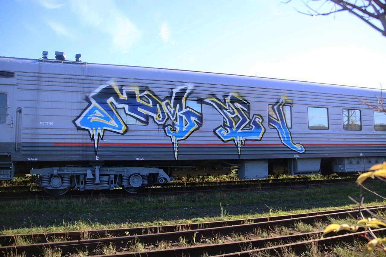Graffiti Train - Photo by deadkennedis