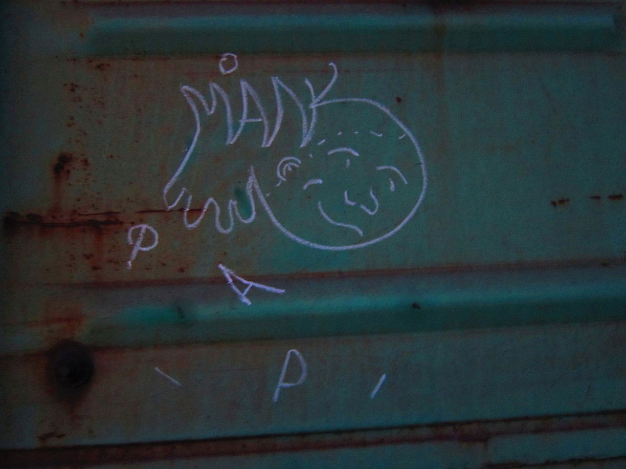 Graffiti Train - Photo by deadkennedis (2016)