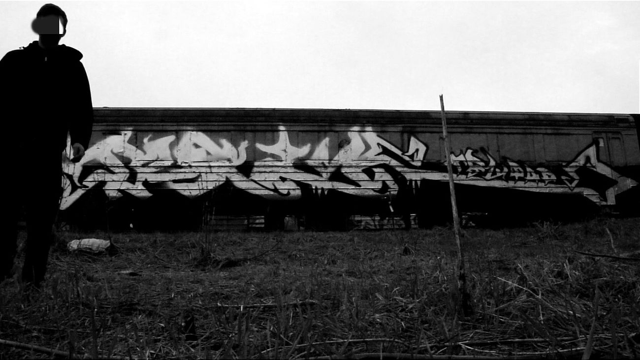 Graffiti Train - Photo by deadkennedis