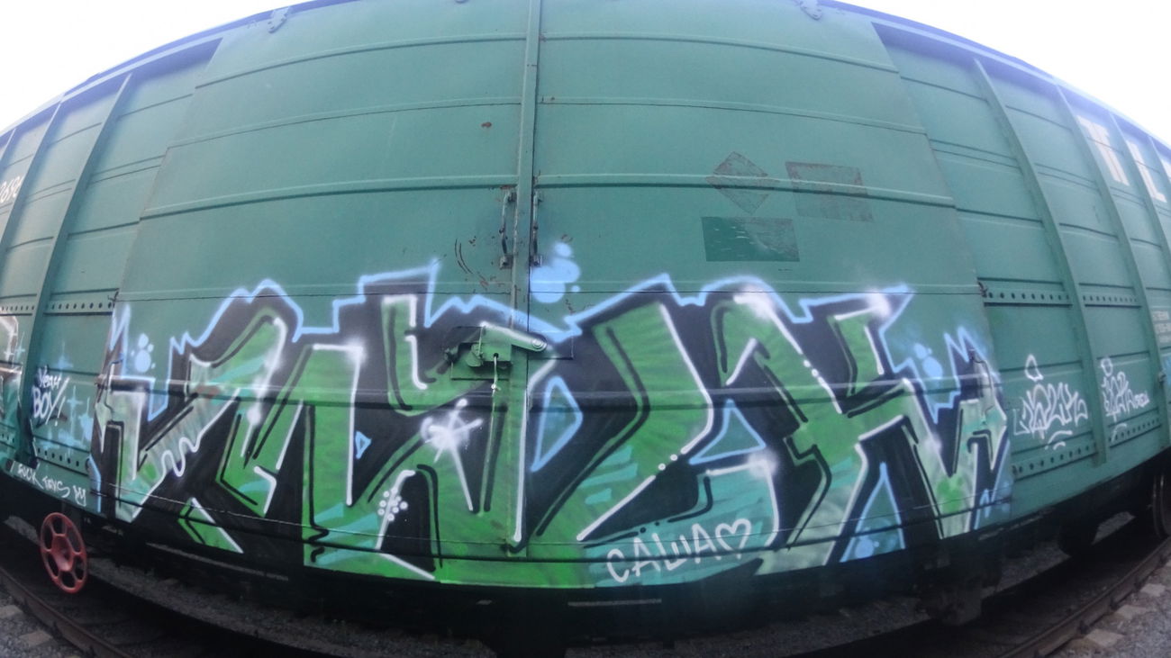Graffiti Train - Photo by deadkennedis (2016)