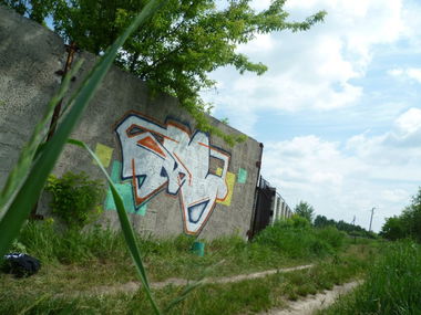 Graffiti Wall in Zhytomyr - Photo by deesay - d-say (2012)