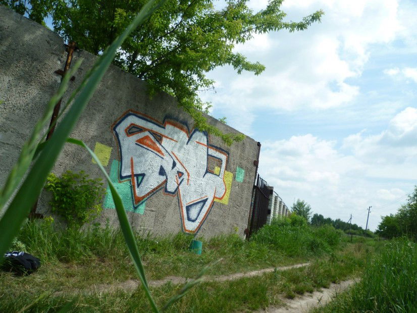Graffiti Wall in Zhytomyr - Photo by deesay - d-say (2012)