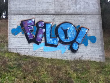 Graffiti Bombing - Photo by deinemudda