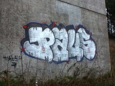 Graffiti Bombing - Photo by deinemudda