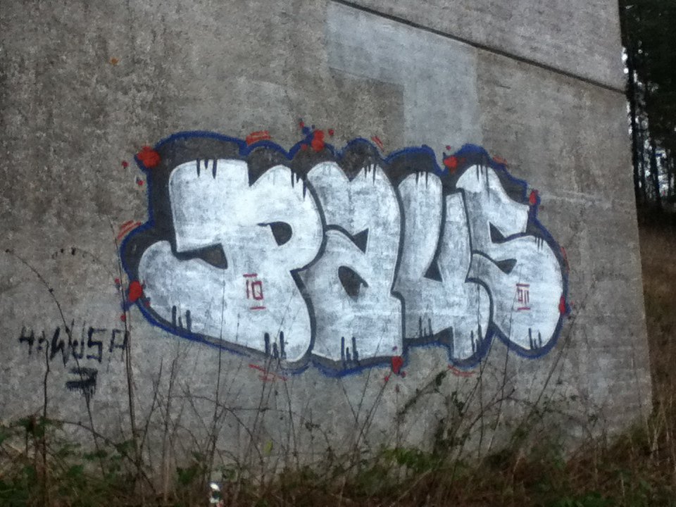 Graffiti Bombing - Photo by deinemudda