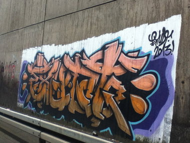 Graffiti Bombing - Photo by deinemudda