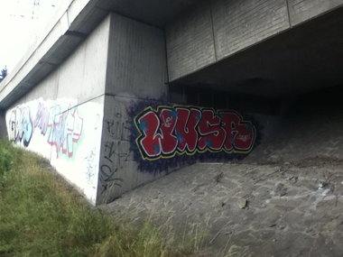 Graffiti Bombing - Photo by deinemudda