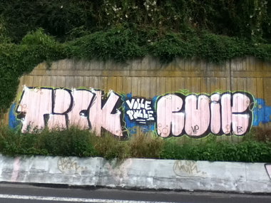 Graffiti Bombing - Photo by deinemudda (2013)