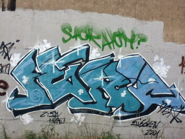 Graffiti Bombing - Photo by deinemudda