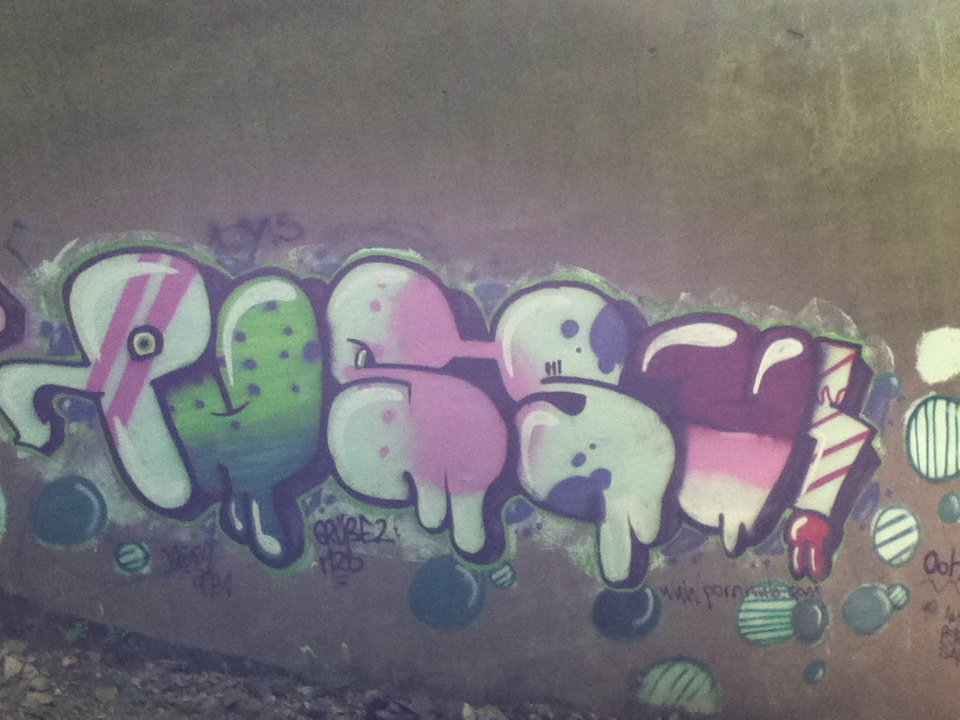 Graffiti Bombing - Photo by deinemudda