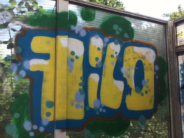 Graffiti Bombing - Photo by deinemudda