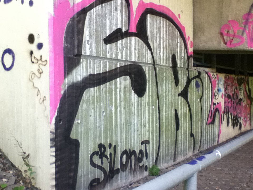 Graffiti Bombing - Photo by deinemudda