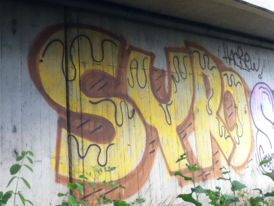 Graffiti Bombing - Photo by deinemudda