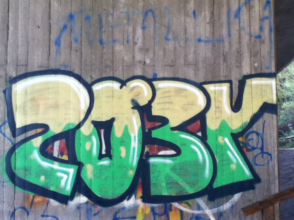 Graffiti Bombing - Photo by deinemudda