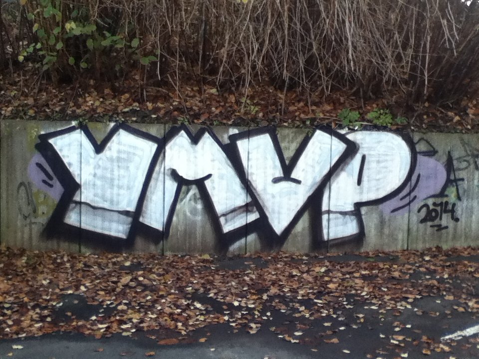 Graffiti Bombing - Photo by deinemudda - ymvp