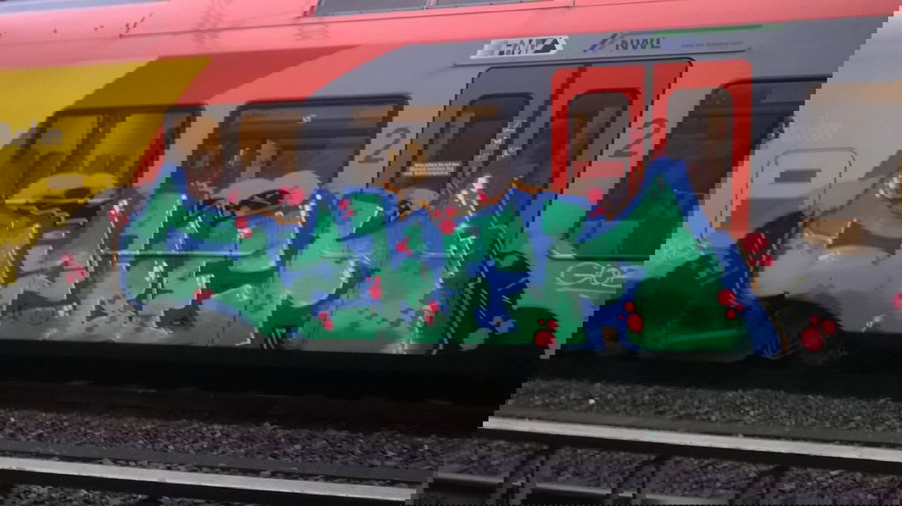 Graffiti Train - Photo by deinemudda