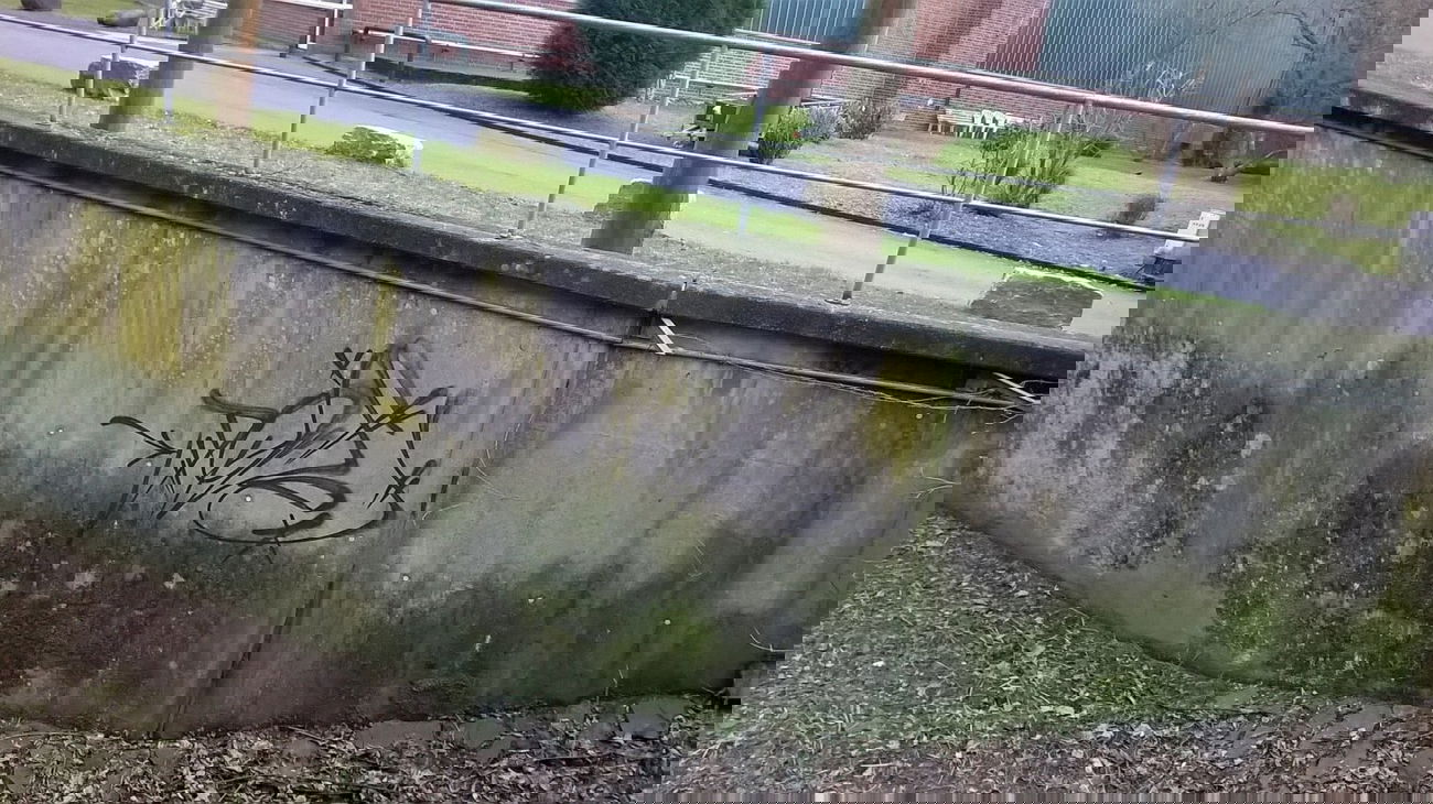 Graffiti Street Art - Photo by deinemudda