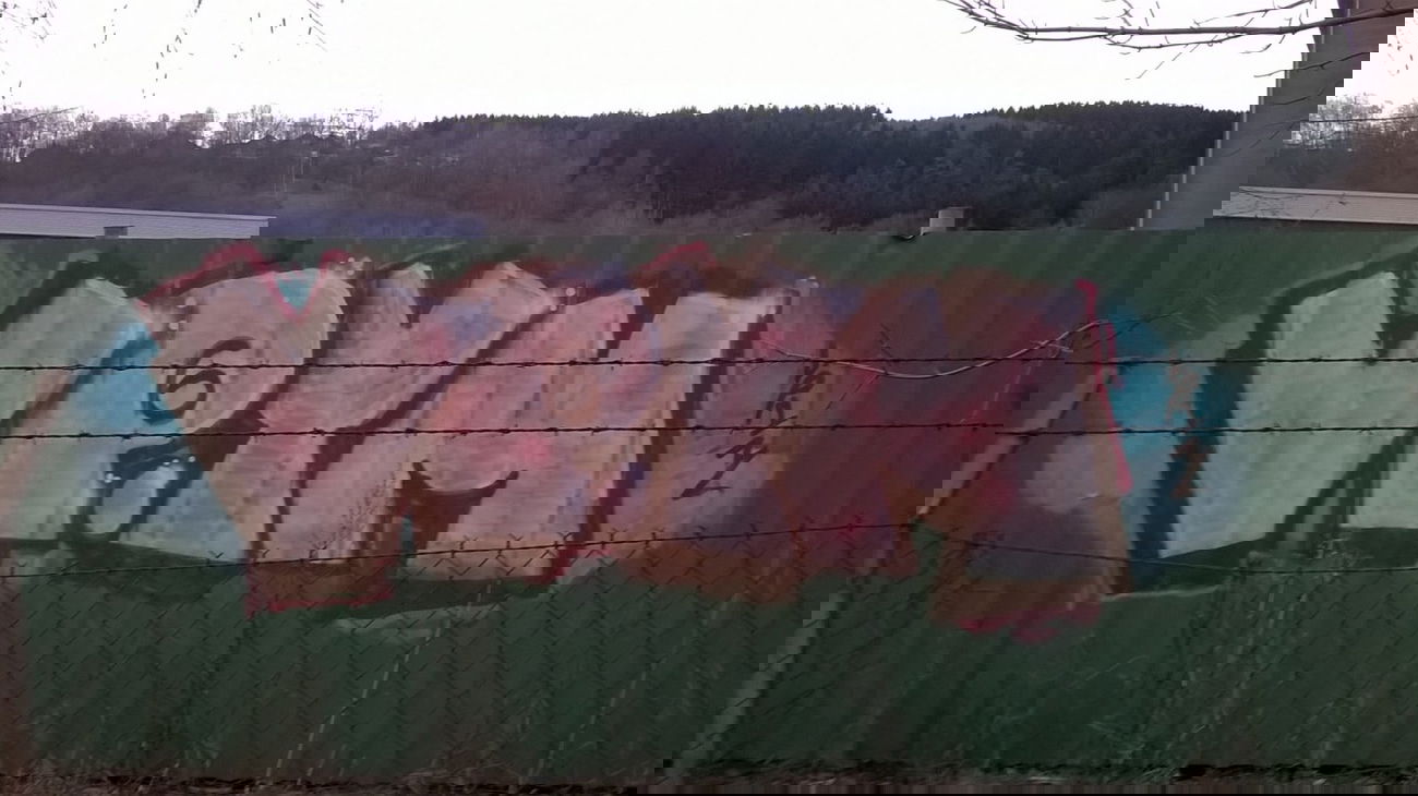 Graffiti Bombing - Photo by deinemudda