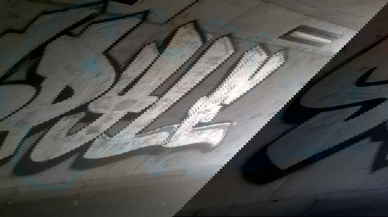 Graffiti Bombing - Photo by deinemudda