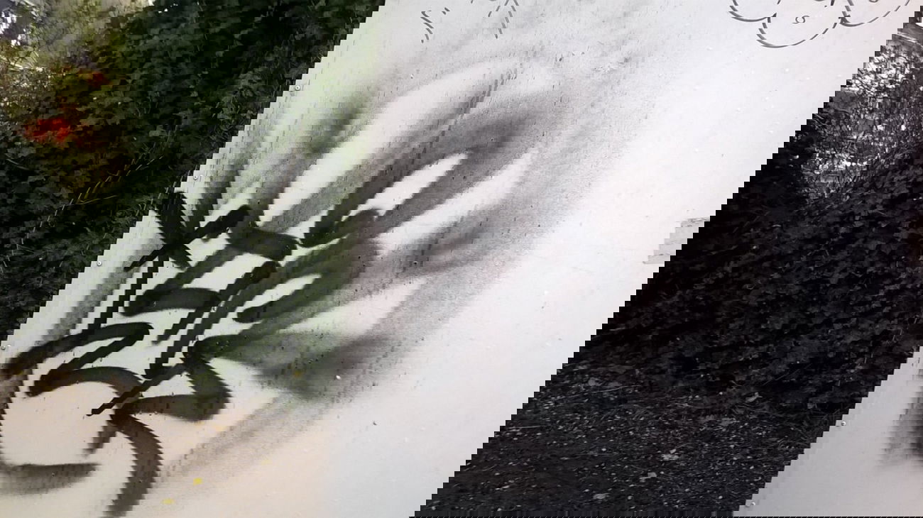 Graffiti Wall - Photo by deinemudda