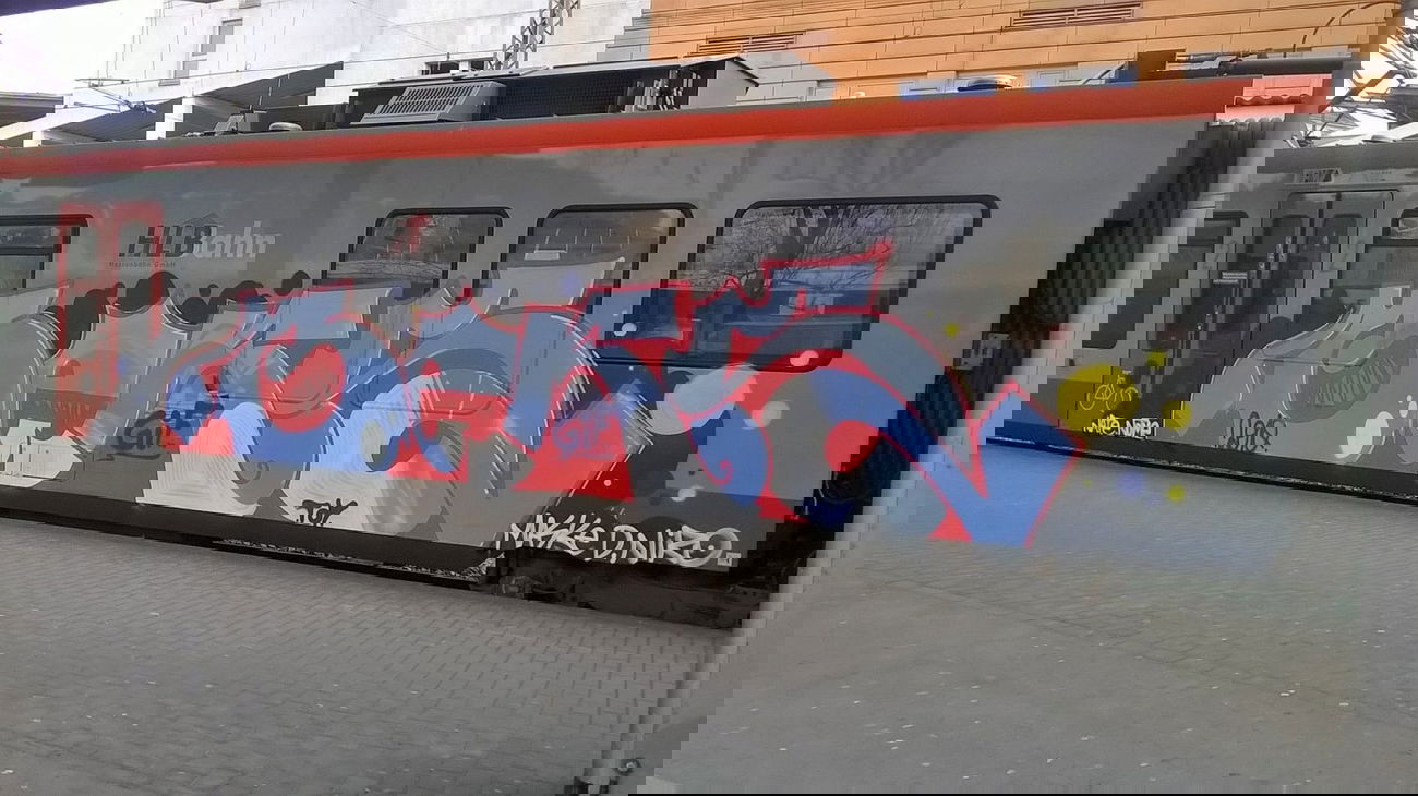 Graffiti Train - Photo by deinemudda
