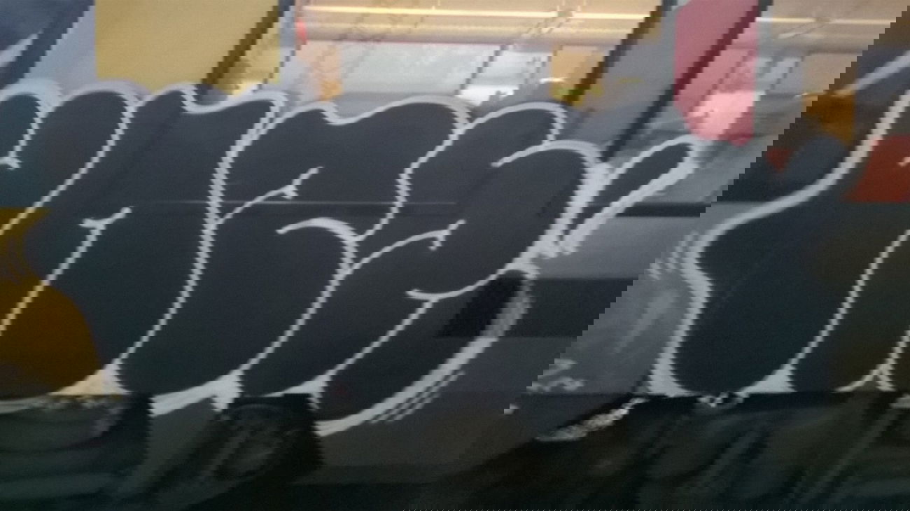 Graffiti Train - Photo by deinemudda