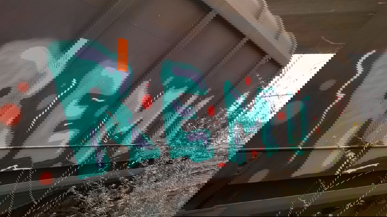 Graffiti Train - Photo by deinemudda