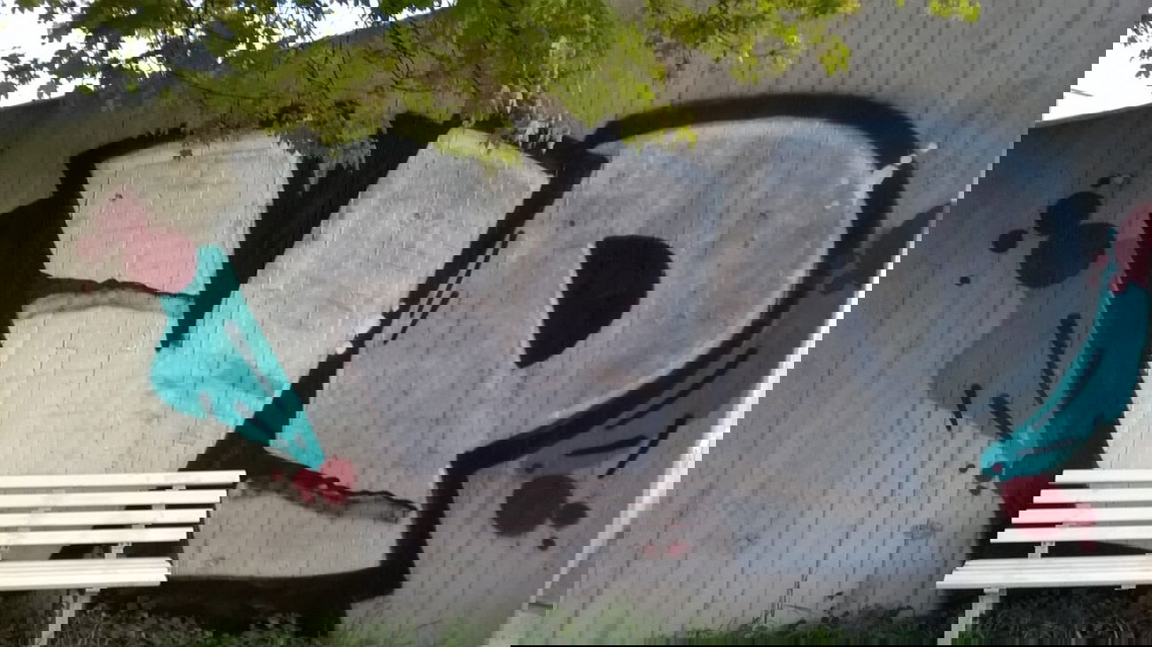 Graffiti Bombing - Photo by deinemudda