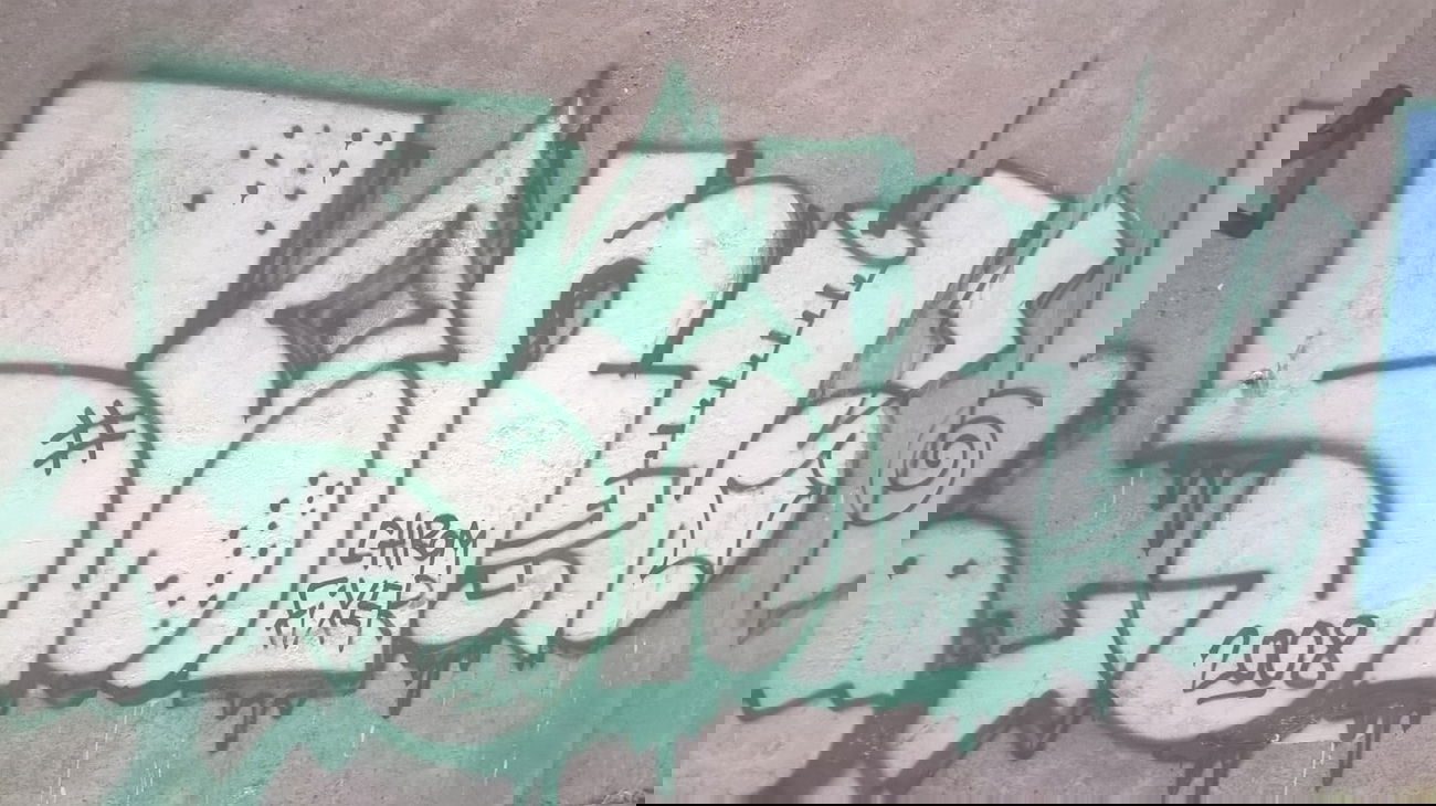 Graffiti Bombing - Photo by deinemudda