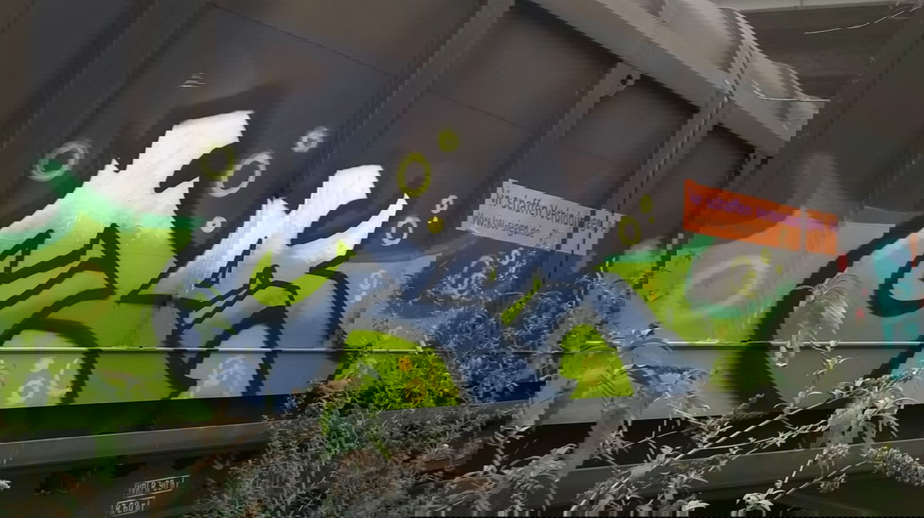 Graffiti Train - Photo by deinemudda