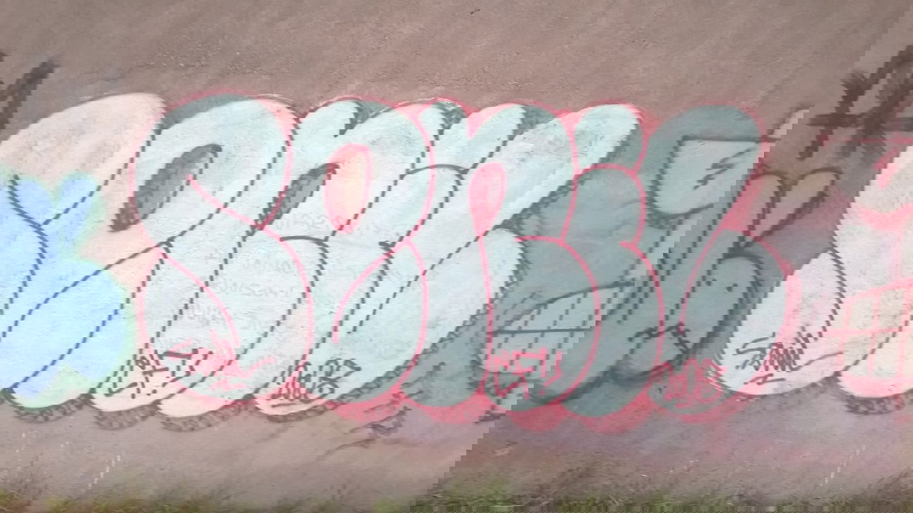 Graffiti Bombing - Photo by deinemudda