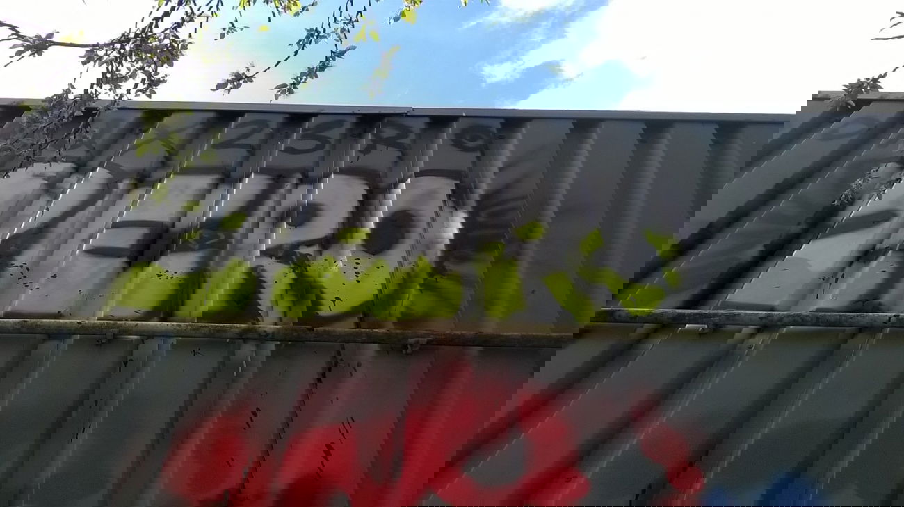 Graffiti Wall - Photo by deinemudda