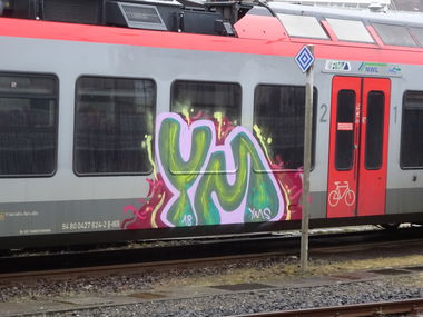 Graffiti Train - Photo by deinemudda