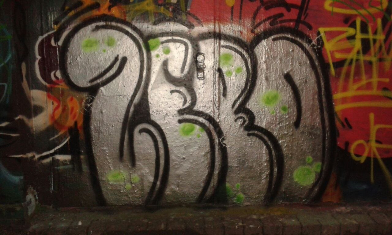 Graffiti Bombing - Photo by deinemudda