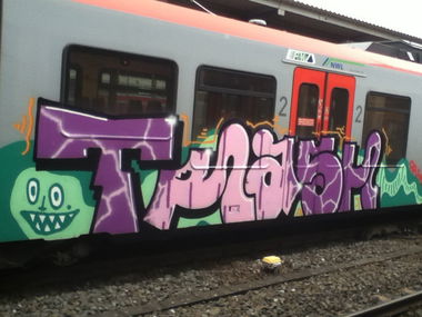 Graffiti Train - Photo by deinemudda - trash (2014)